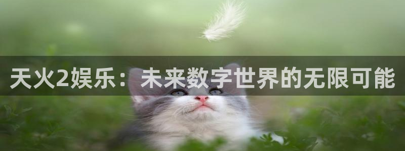 恒盛娱乐下载：天火2娱乐：未来数字世界的无限可能