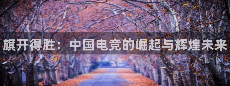 恒盛娱乐下载：旗开得胜：中国电竞的崛起与辉煌未来