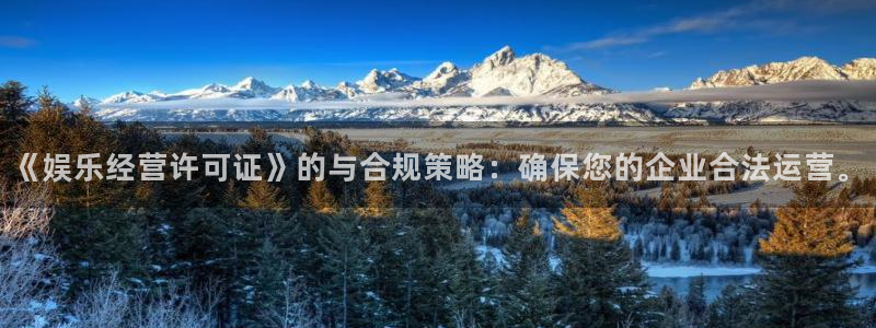 恒盛代理：《娱乐经营许可证》的与合规策略：确保您的企业合法运营。