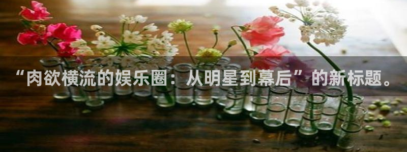 恒盛娱乐下载：“肉欲横流的娱乐圈：从明星到幕后”的新标题。