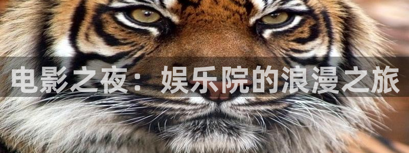 恒盛智投app：电影之夜：娱乐院的浪漫之旅