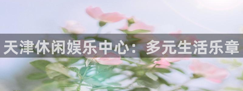 恒盛娱乐代理：天津休闲娱乐中心：多元生活乐章